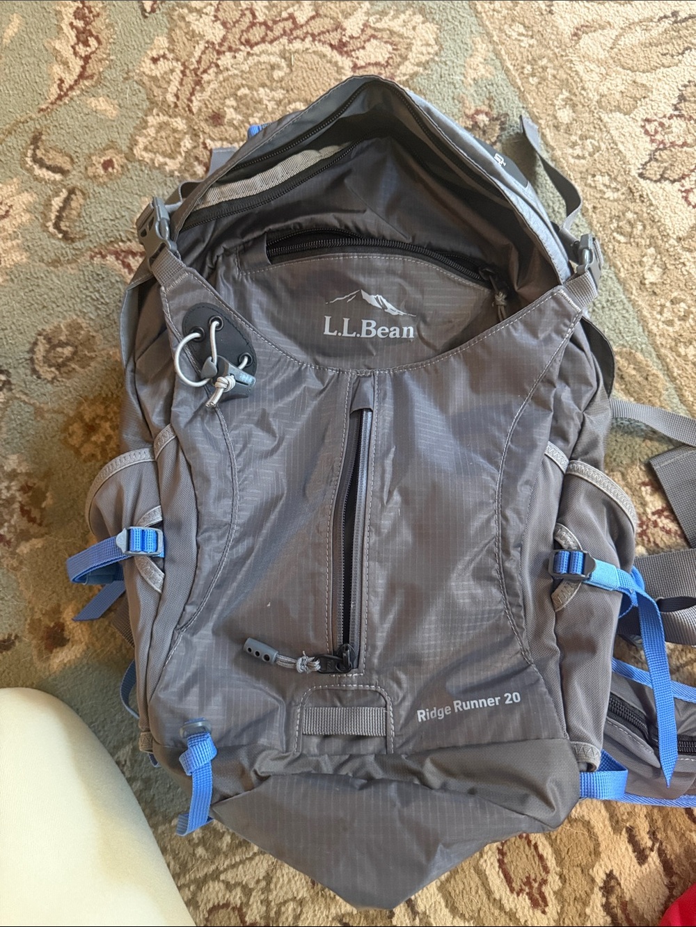 LL Bean Hiking Backpack